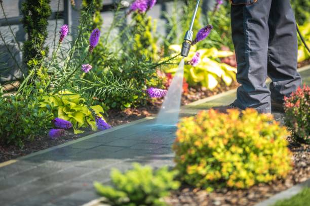 Best Restaurant Pressure Washing  in Ville Ptte, LA