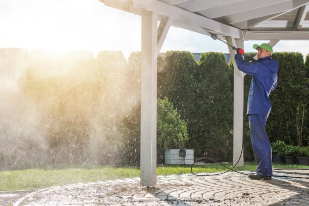 Best Sidewalk and Walkway Cleaning  in Ville Ptte, LA